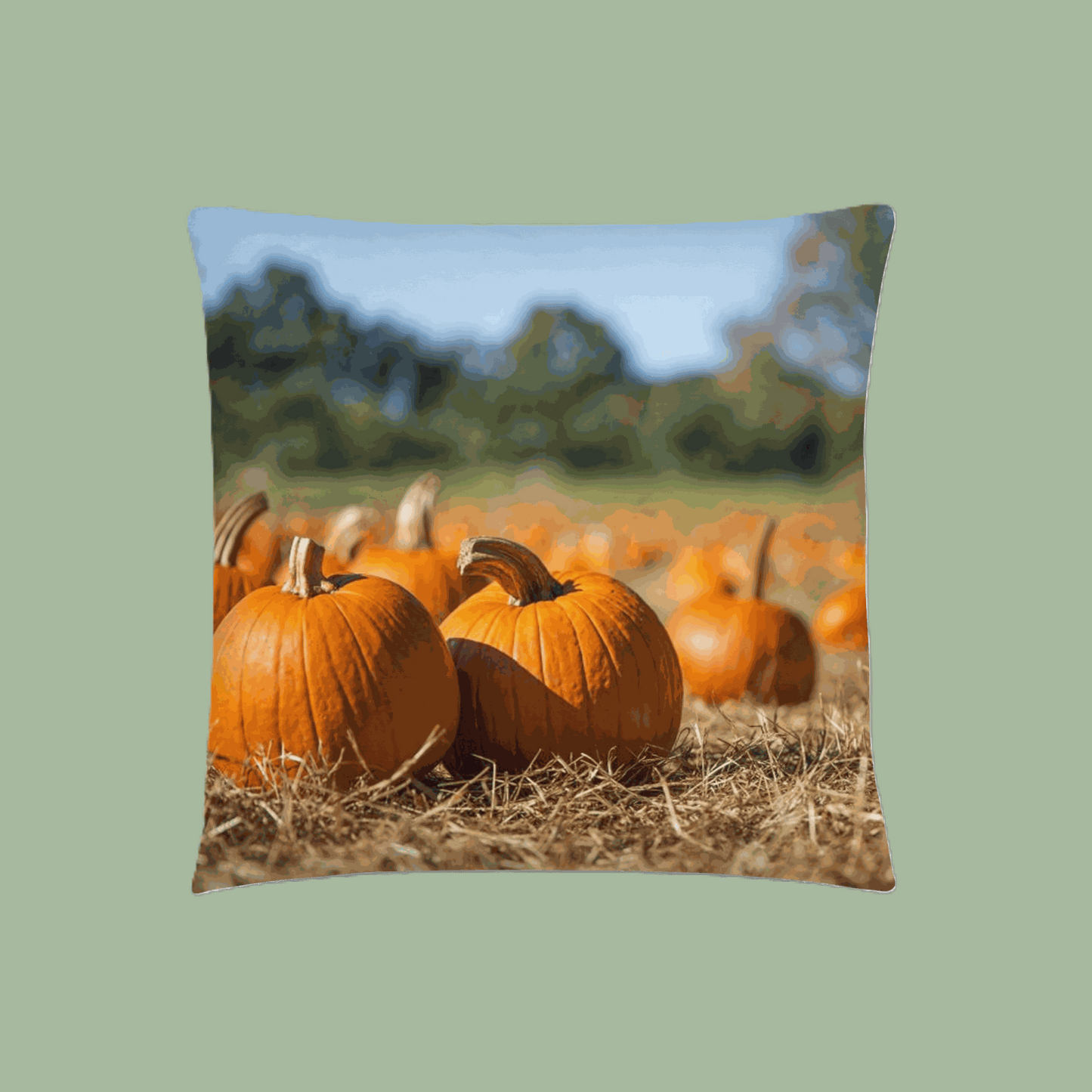 Front view of Pumpkin Patch Pillow with festive autumn design
