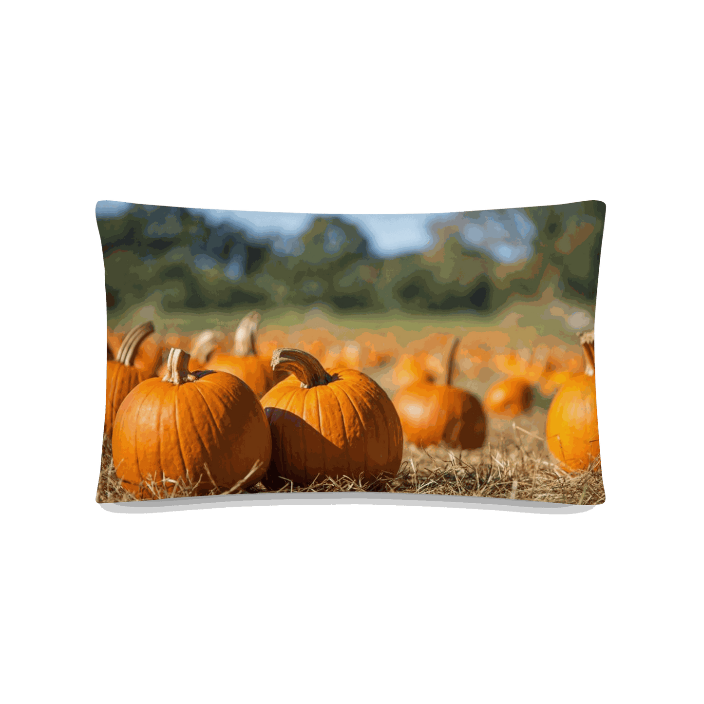 Front view of Pumpkin Patch Pillow with festive autumn design